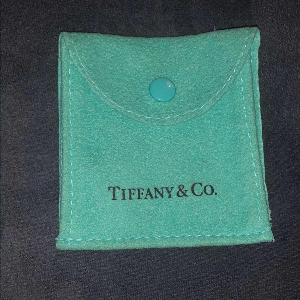 Tiffany and co jewelry bag (small)